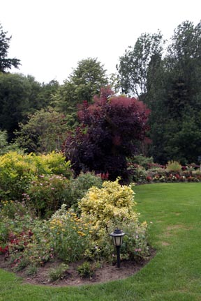 Garden view 2.jpg